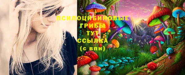 а пвп мука Кулебаки