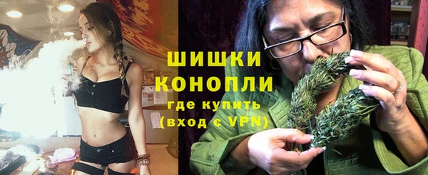 Альфа ПВП Кукмор
