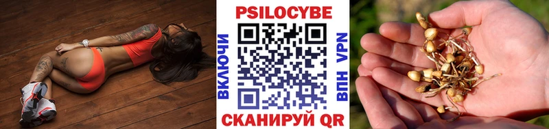 Псилоцибиновые грибы Cubensis  Купить закладки  Остров 